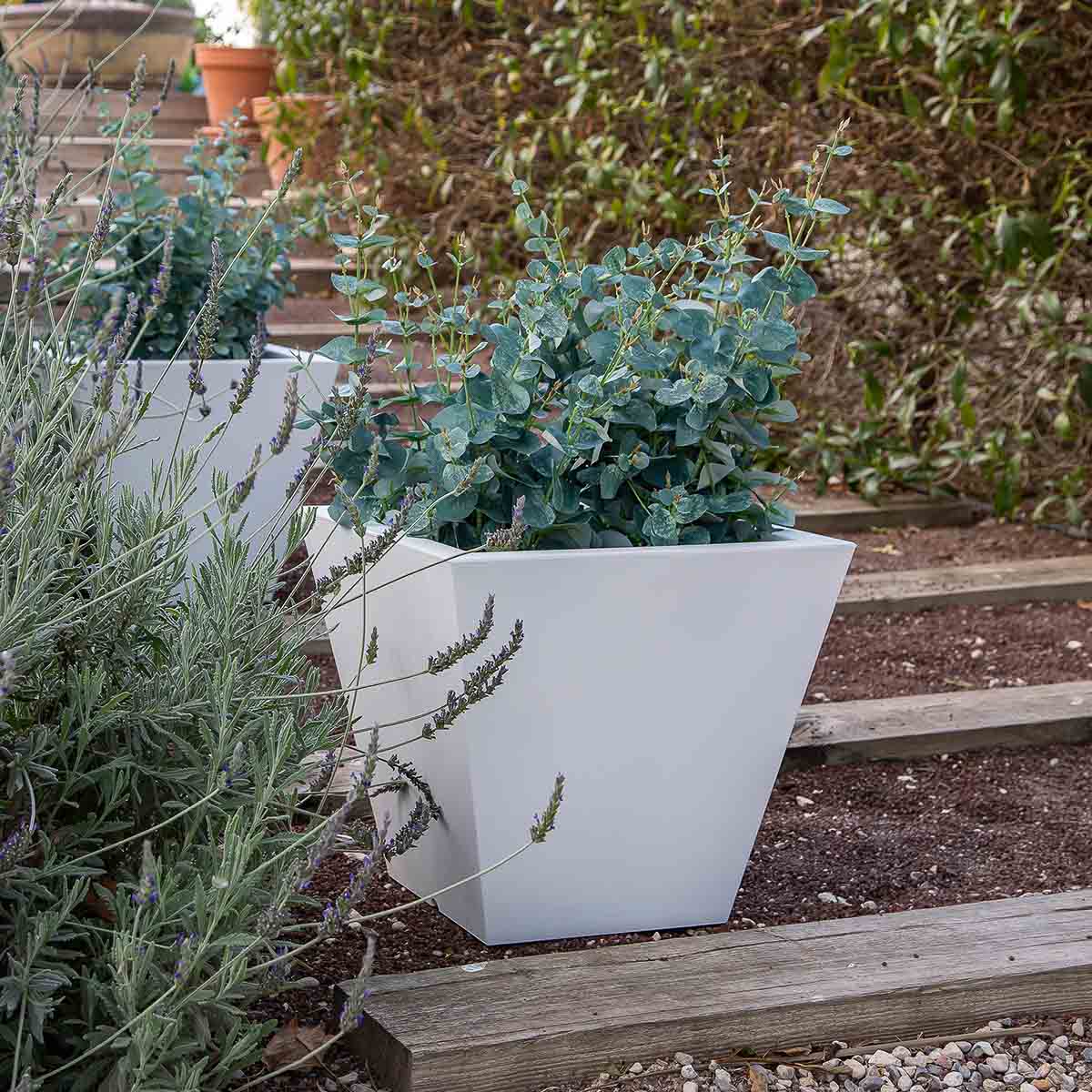 POT DE FLEURS CLAVEL 30 - Image 8
