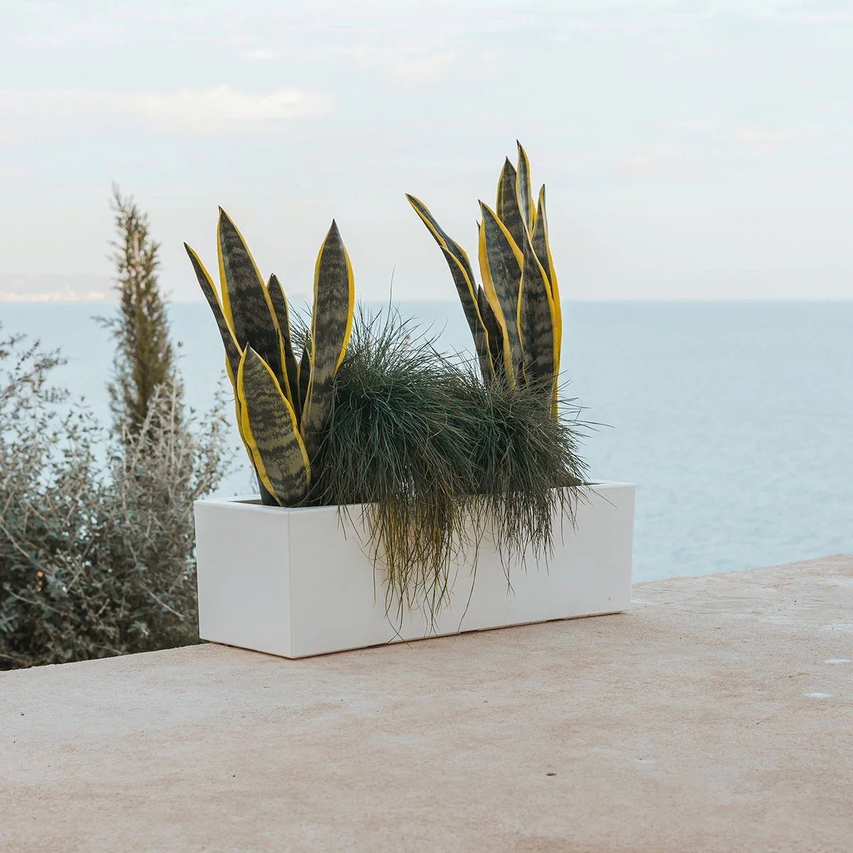 JARDINIÈRE JARA 80 x 40 - Image 10