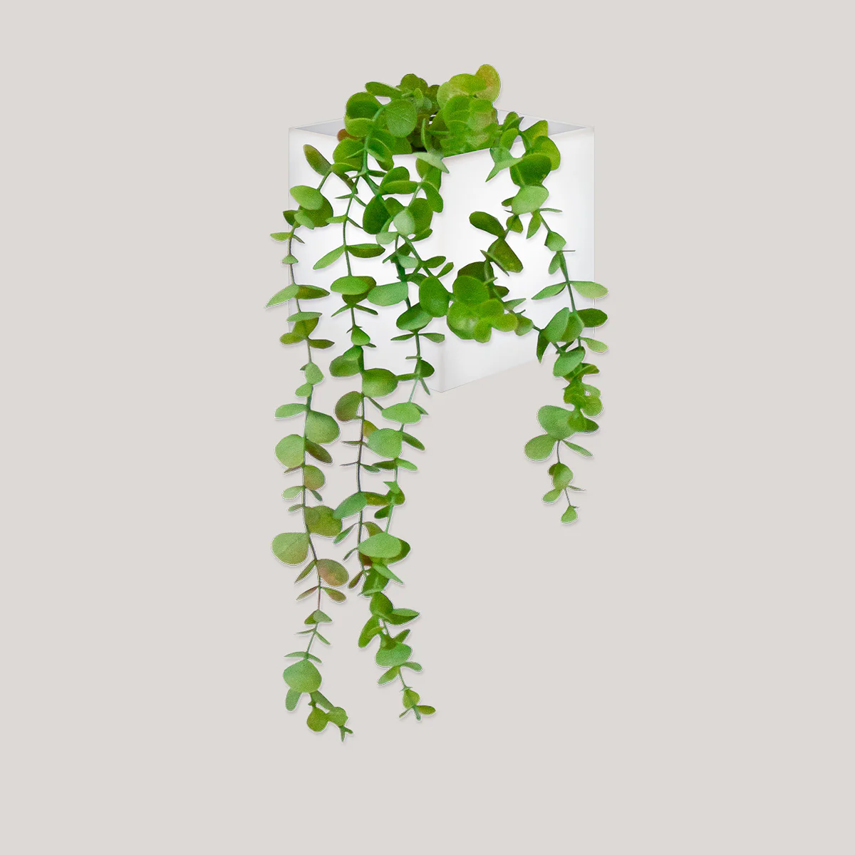 Jardinière murale Wally Pot sans lumière - Image 10