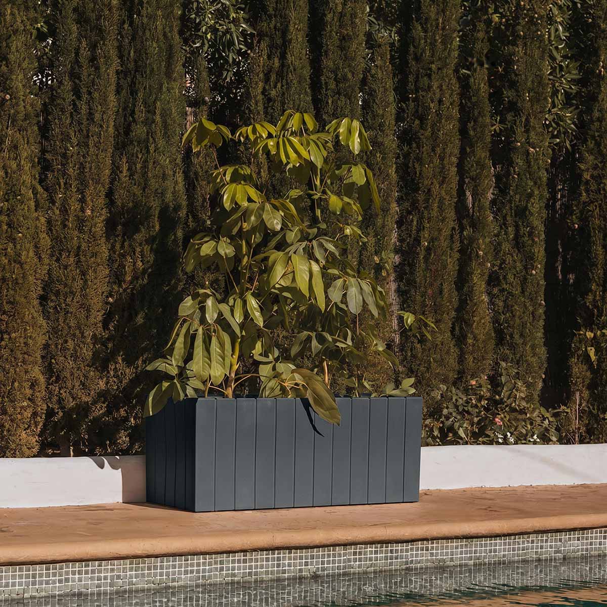 JARDINIÈRE OLIVO LARGE - Image 3