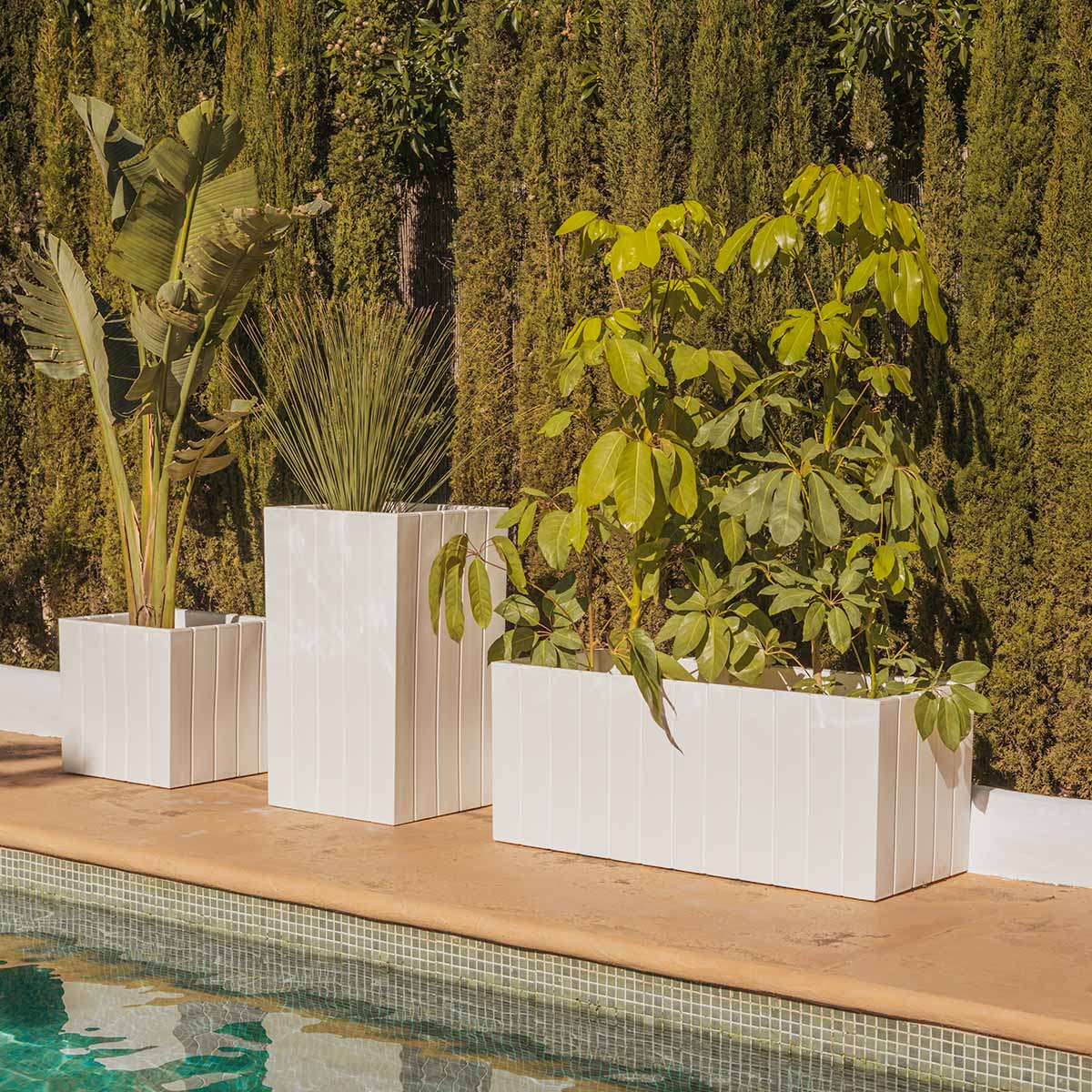 JARDINIÈRE OLIVO LARGE - Image 7