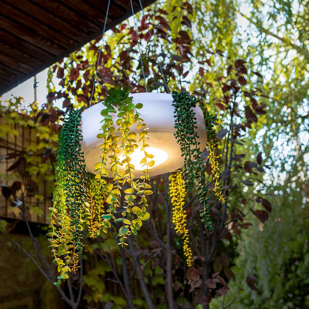 Jardinière ronde suspendue avec éclairage sans fil ELBA 39 - Image 6