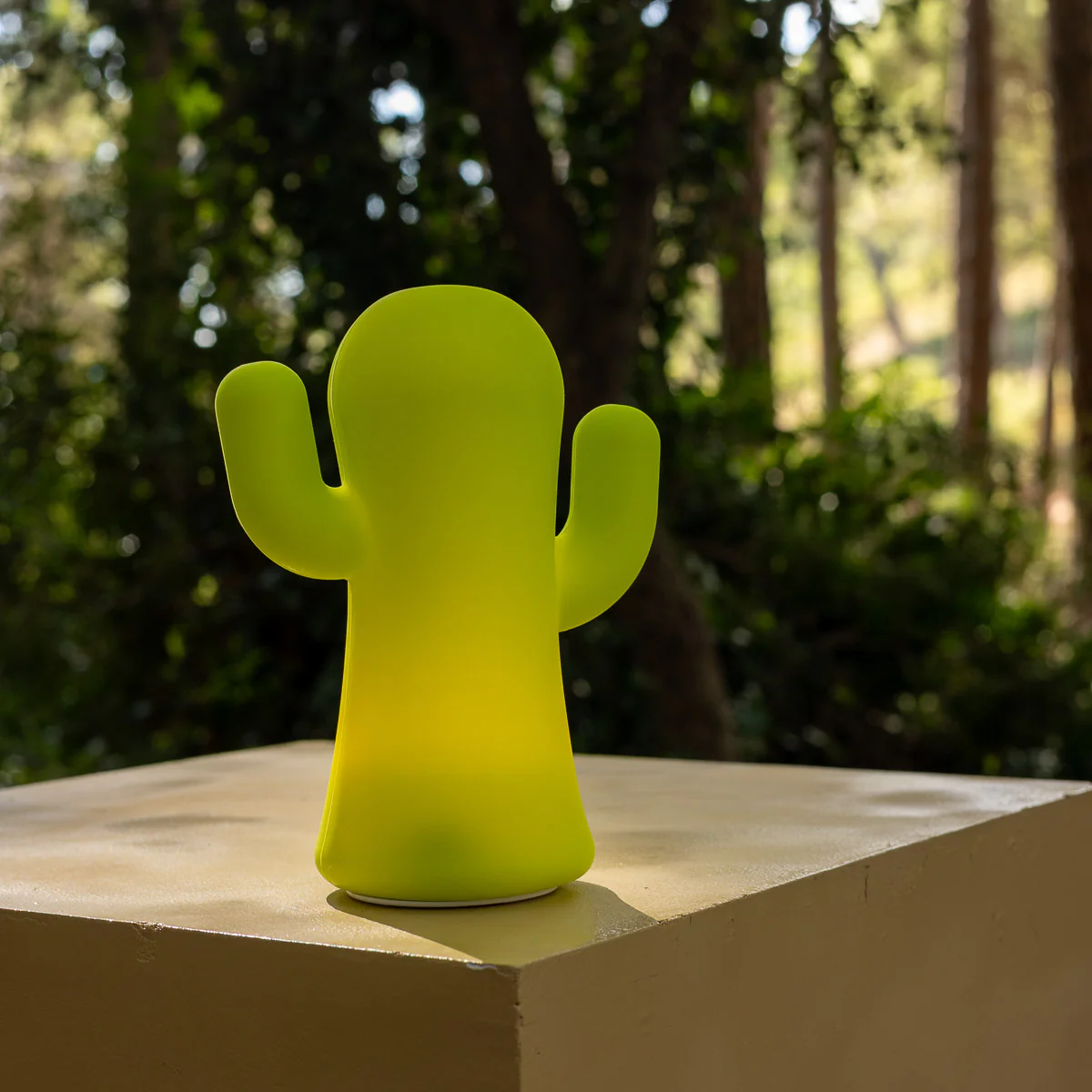 CACTUS LUMINEUX EN SILICONE PANCHITO VERT CITRON - Image 6