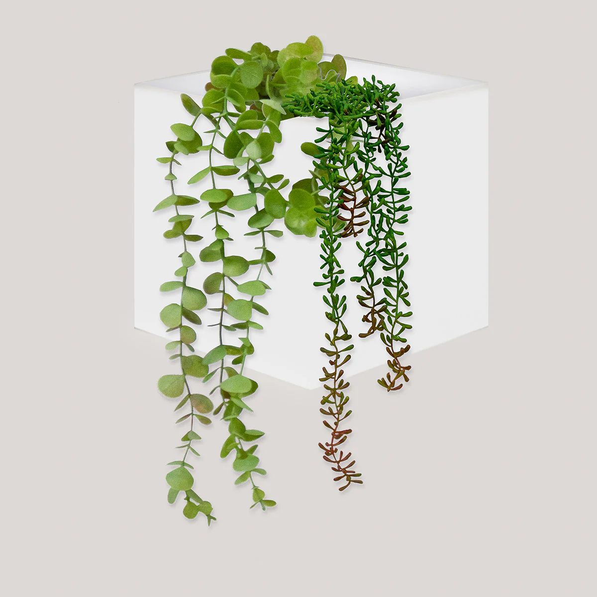 Pack Appliques Murales Solaires WALLY + Pots Muraux | Éclairage et Jardin Vertical Durable - Image 8