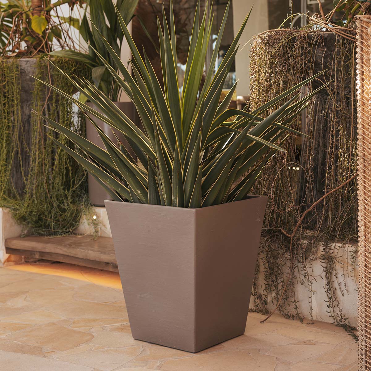 POT DE FLEURS CALÉNDULA 50 RUSTIQUE - Image 3
