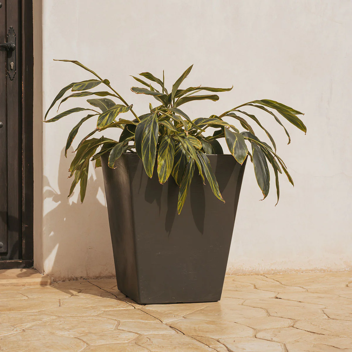 POT DE FLEURS CALÉNDULA 50 RUSTIQUE - Image 6