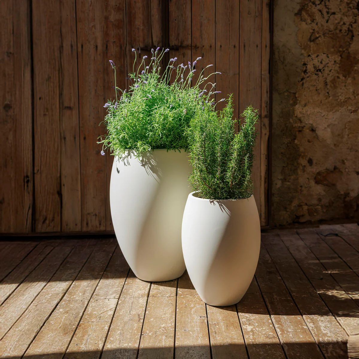 POT DE FLEURS HAUT ALOE 45 AVEC LUMIÈRE - Image 2