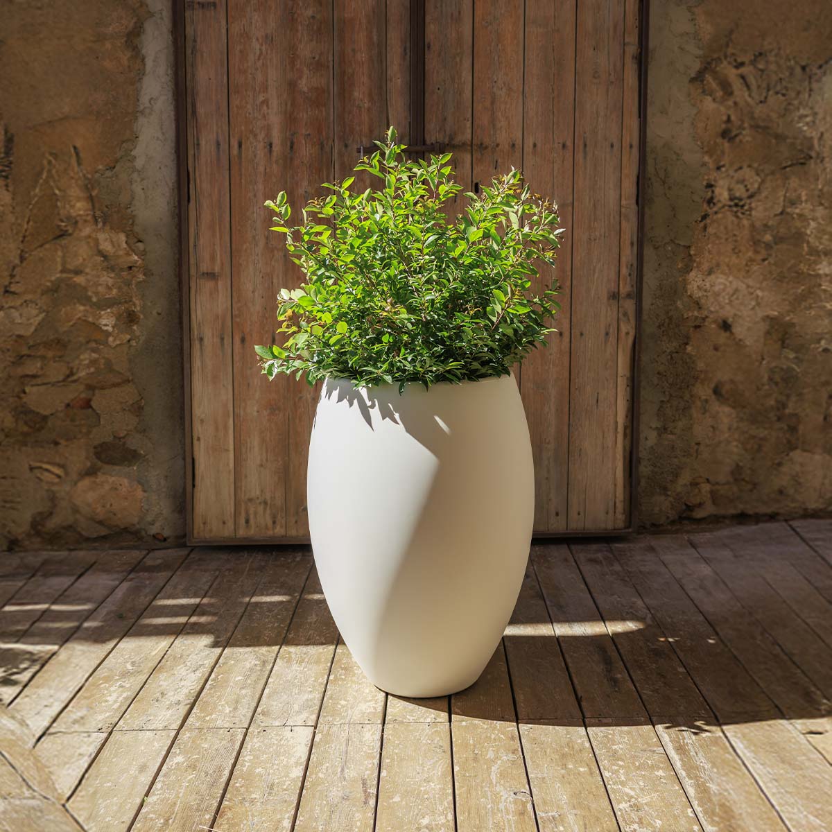 POT DE FLEURS HAUT ALOE 55 AVEC LUMIÈRE