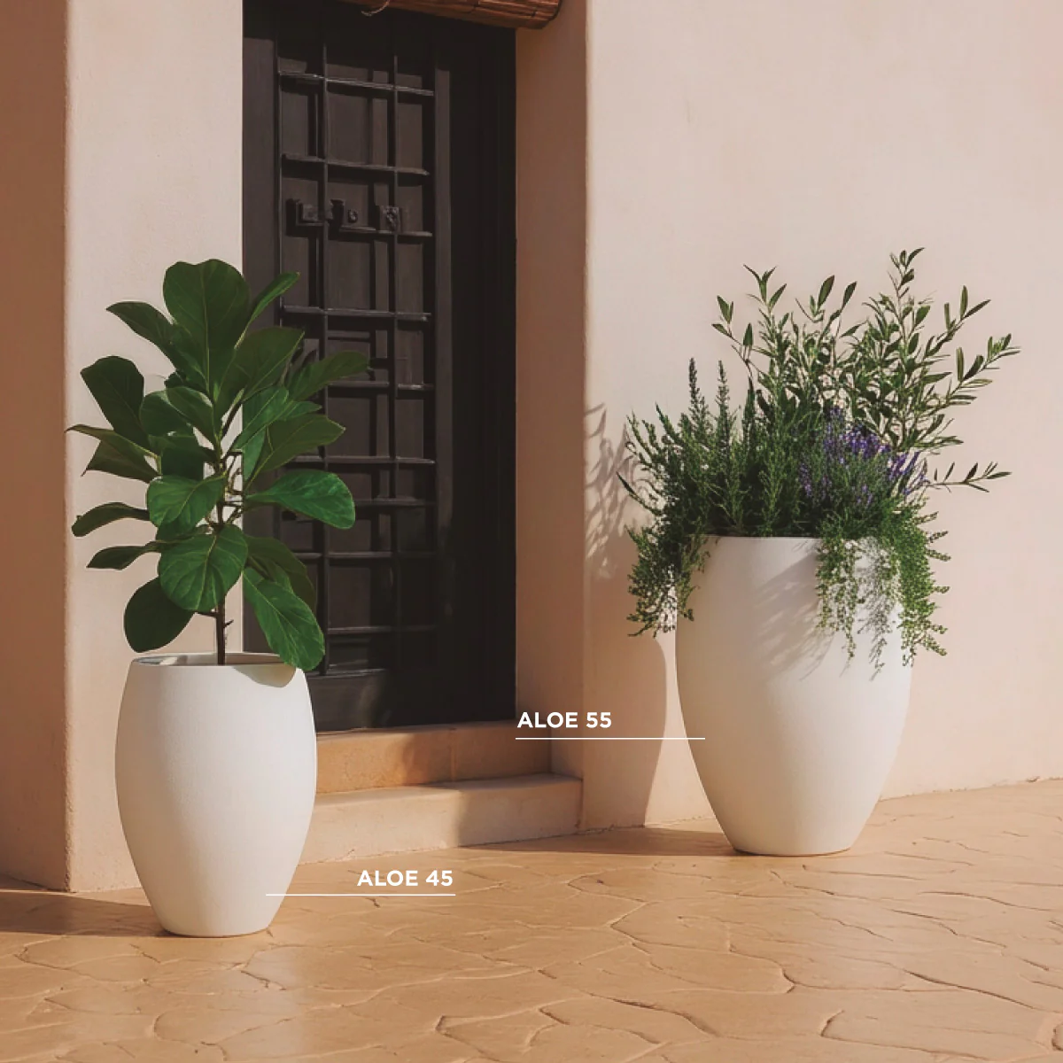 POT DE FLEURS ROND ALOE 45 - Image 11