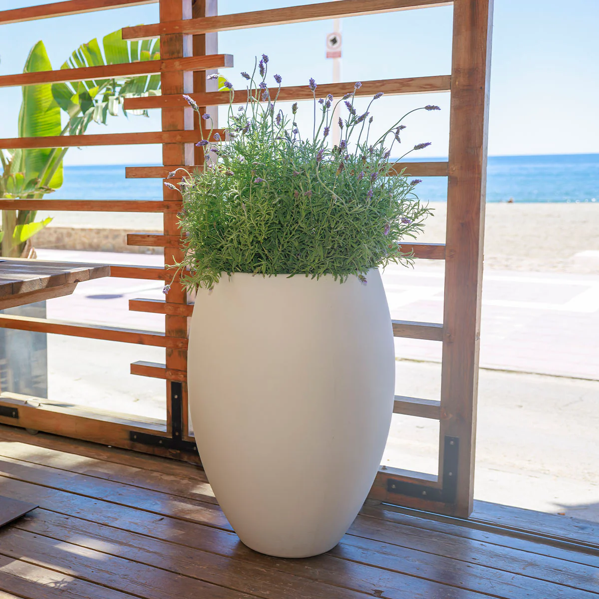 POT DE FLEURS ROND ALOE 45 - Image 14