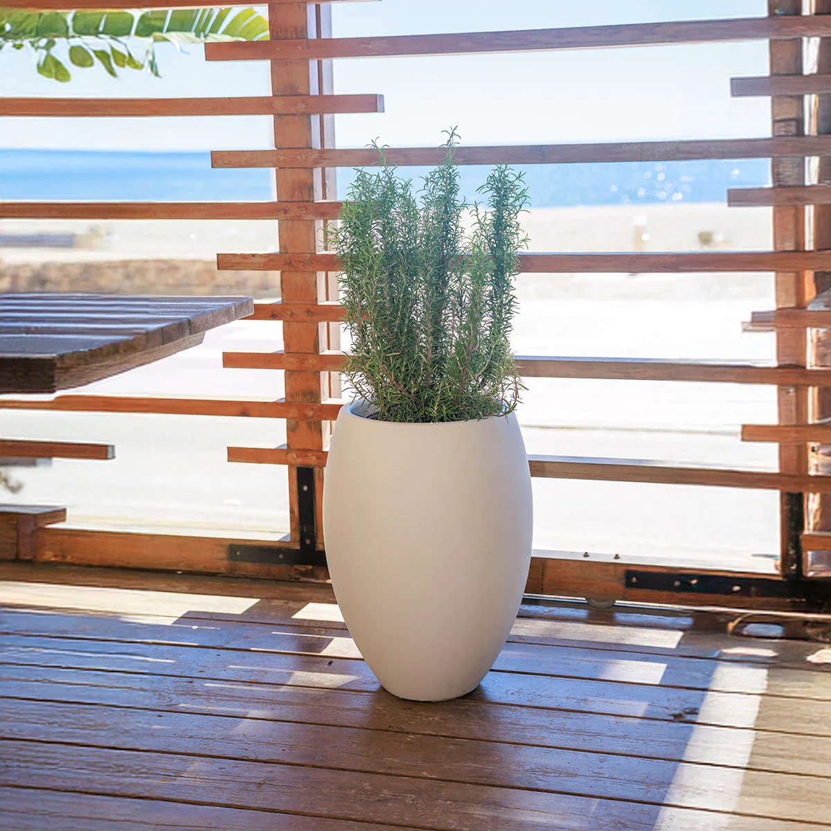 POT DE FLEURS ROND ALOE 45 - Image 5