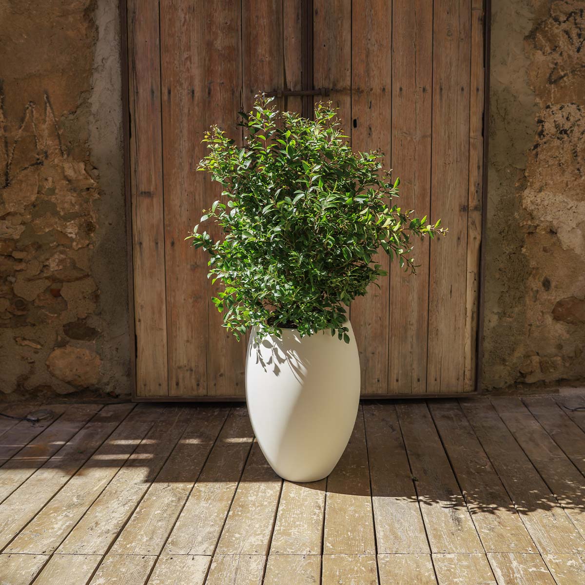 POT DE FLEURS ROND ALOE 45 - Image 8
