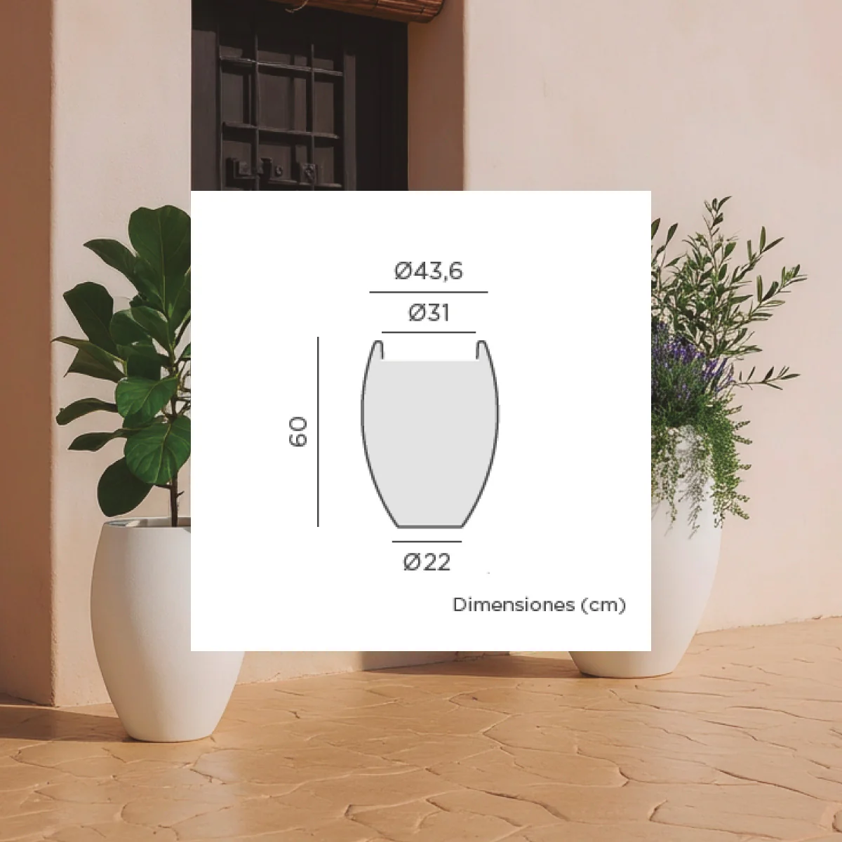 POT DE FLEURS ROND ALOE 55 - Image 14