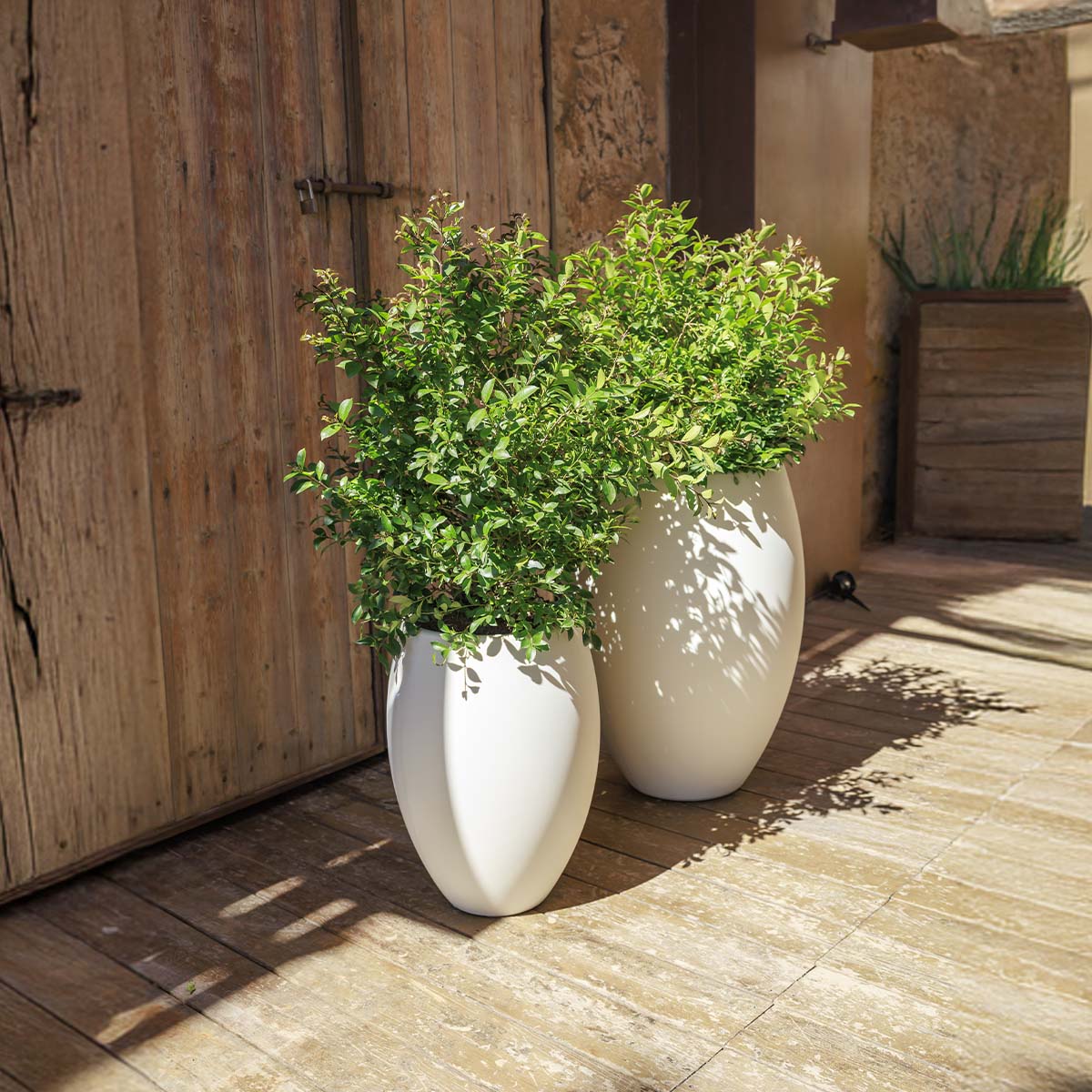 POT DE FLEURS ROND ALOE 55 - Image 9