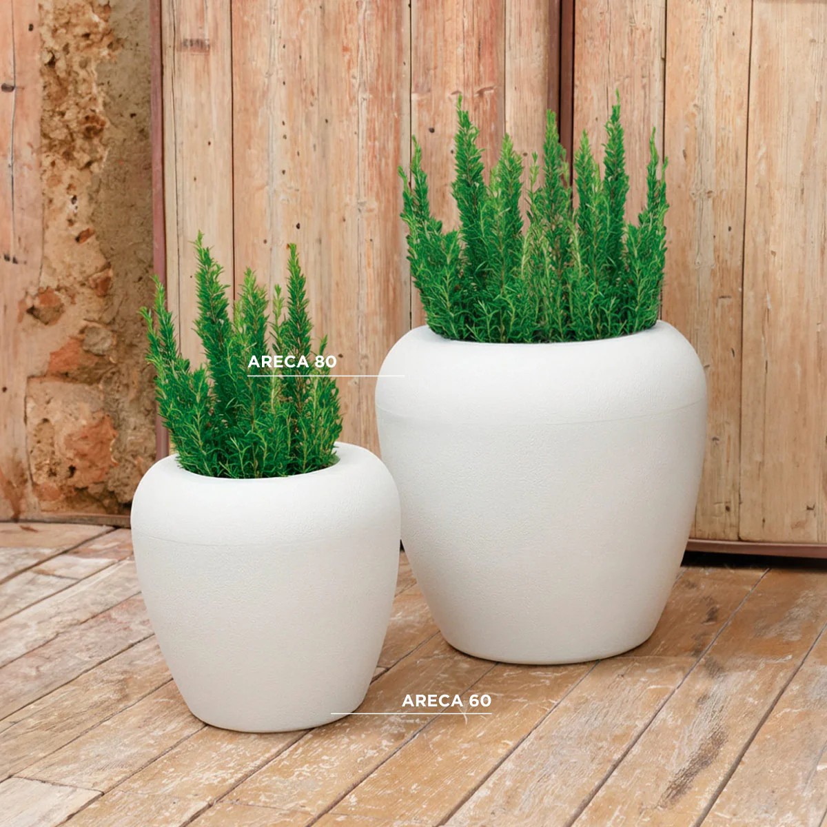 POT DE FLEURS ROND ARECA 60 - Image 5