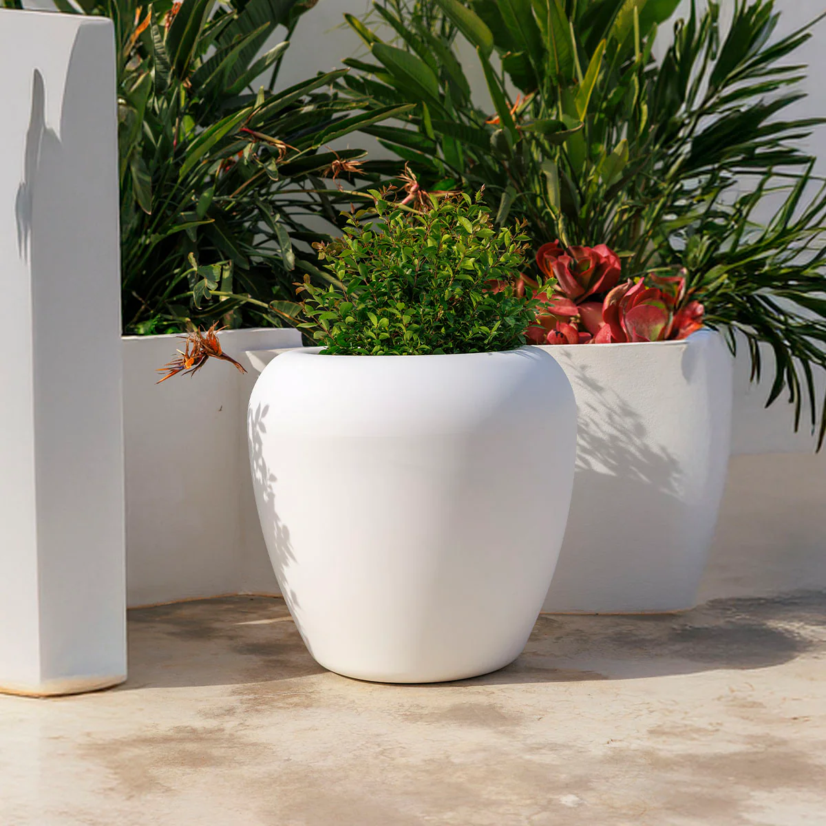 Nouveautés dans les pots de fleurs