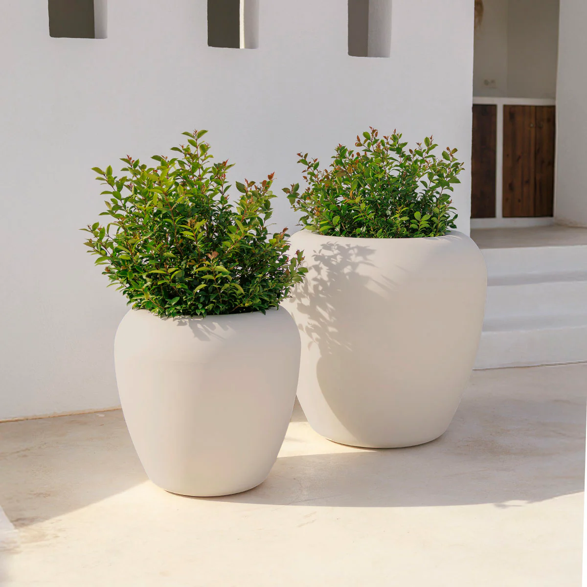 POT DE FLEURS ROND ARECA 80 - Image 12