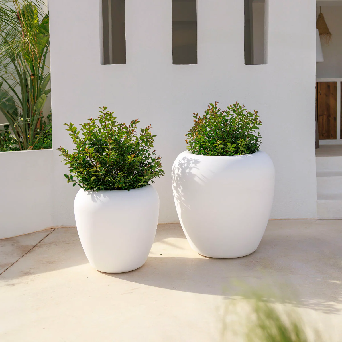 POT DE FLEURS ROND ARECA 80 - Image 4