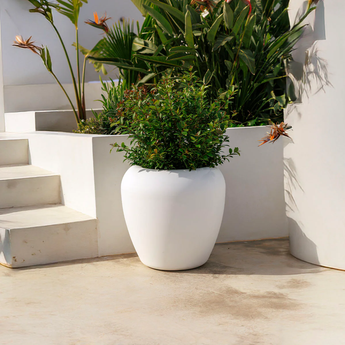Nouveautés en décoration d'extérieur