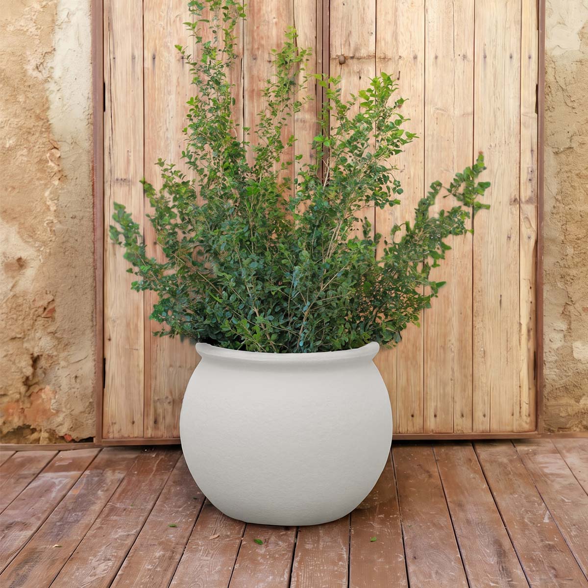 POT DE FLEURS ROND BEGONIA 60 - Image 10
