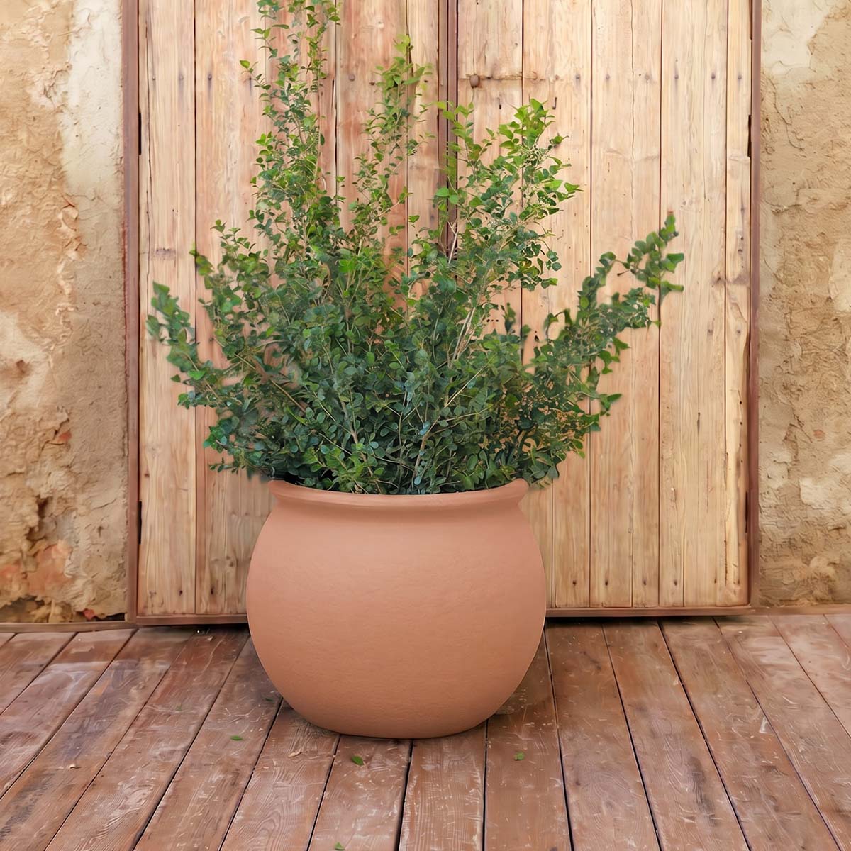 POT DE FLEURS ROND BEGONIA 60 - Image 11