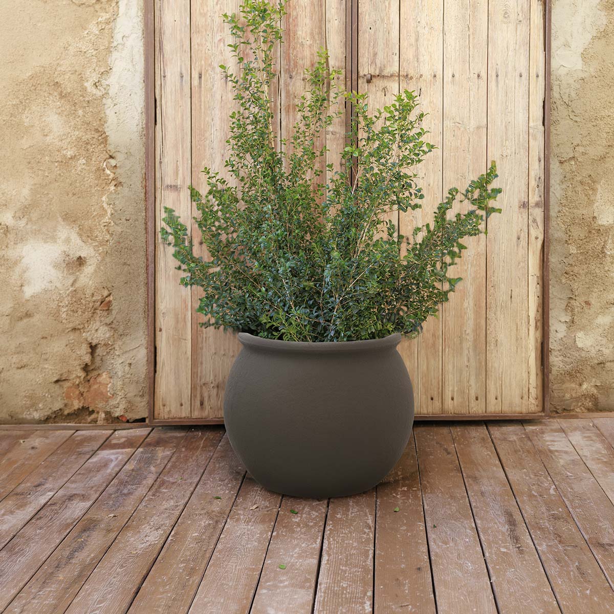 POT DE FLEURS ROND BEGONIA 60 - Image 9
