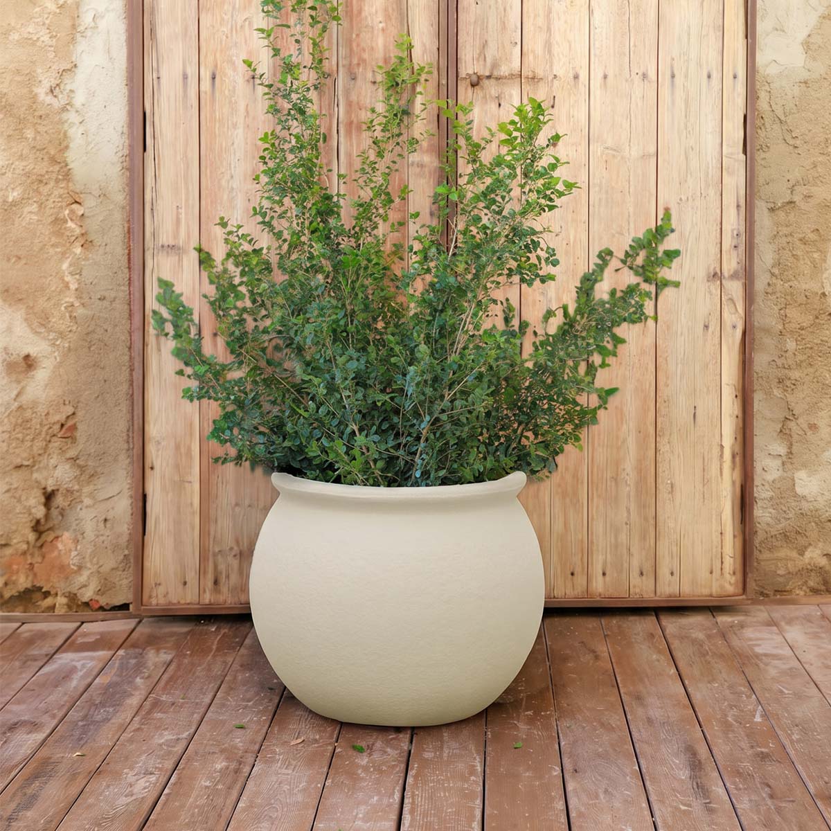 POT DE FLEURS ROND BEGONIA 60 - Image 13