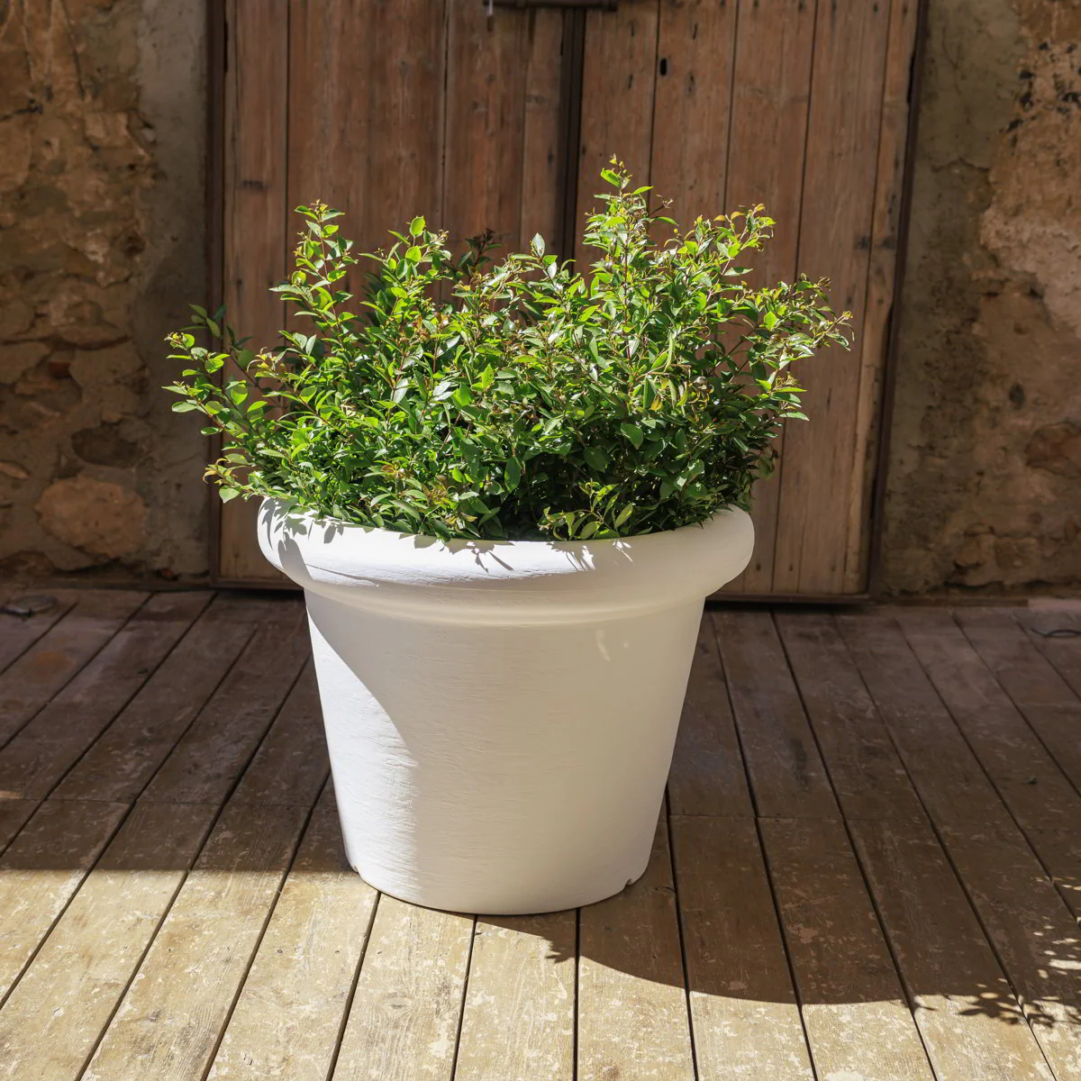 POT DE FLEURS ROSA 55