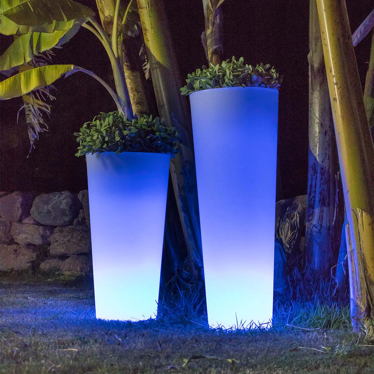 POT DE FLEURS HAUT FICUS 80 AVEC LUMIÈRE - Image 3